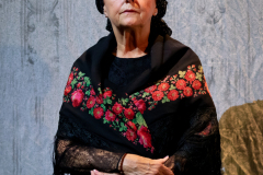 Flamenco - Vérnász