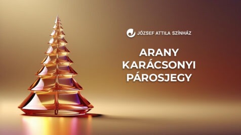 ARANY KARÁCSONYI PÁROS JEGY – I. kategória