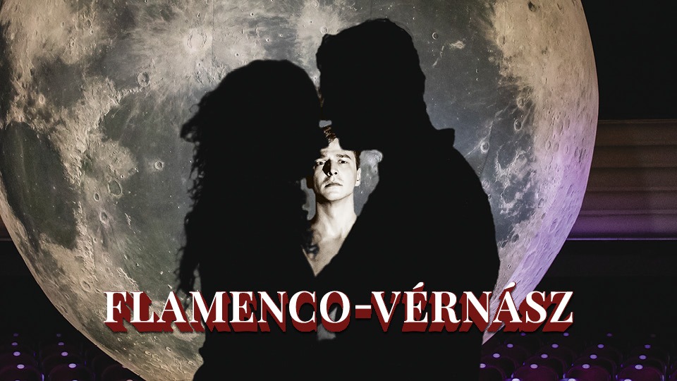 Flamenco-Vérnász